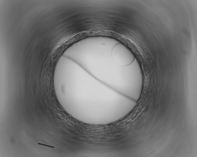 X0000112010919200908031018