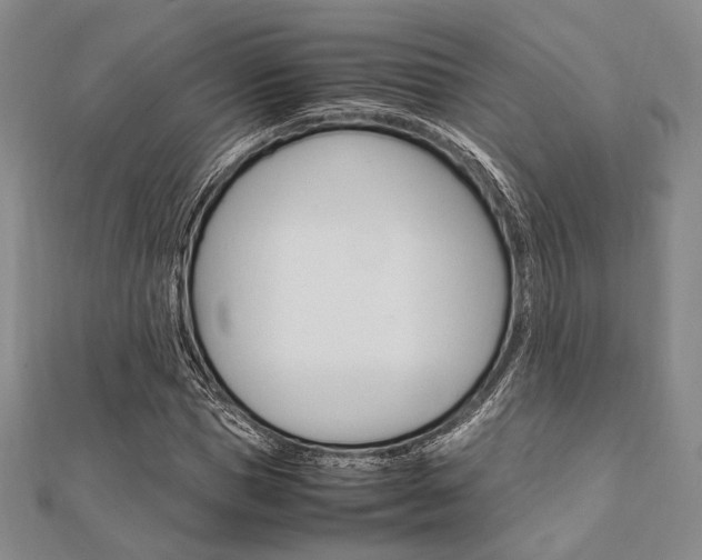 X0000112010921200908031018