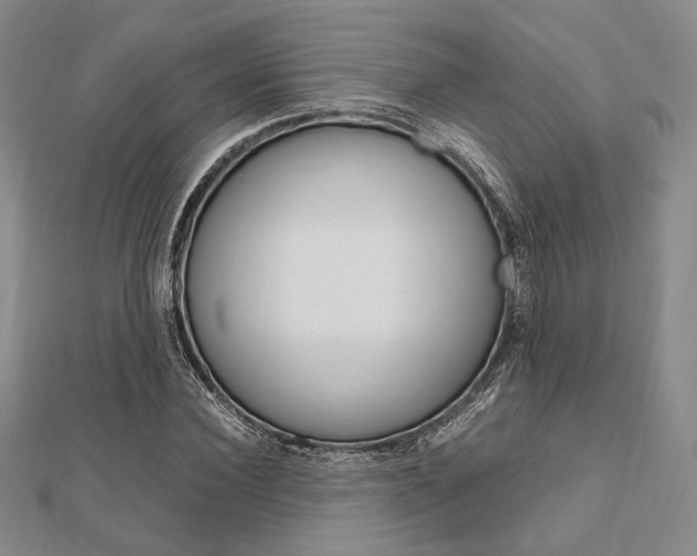 X0000112010924200908031018