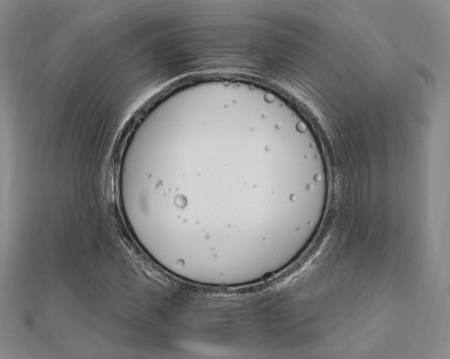 X0000112010925200908031018