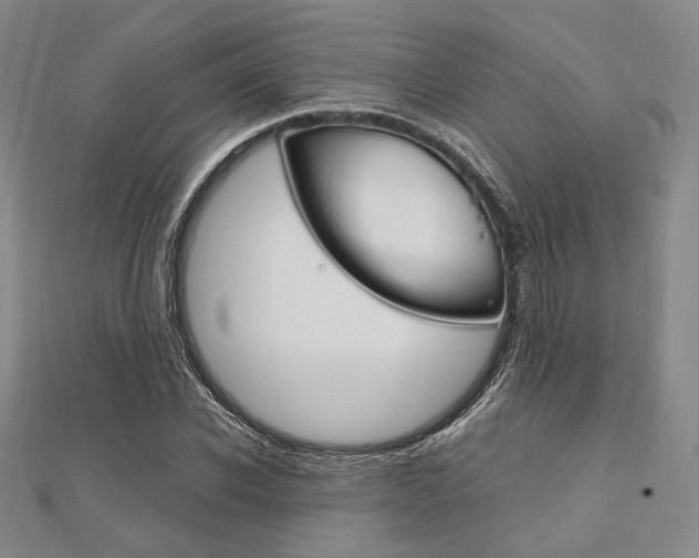 X0000112010926200908031018