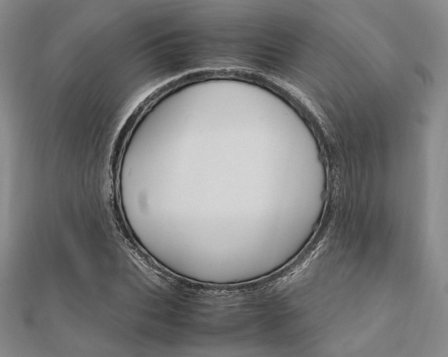 X0000112010927200908031018