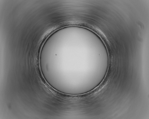 X0000112010930200908031018