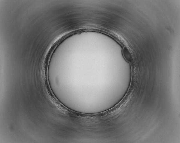 X0000112010931200908031018