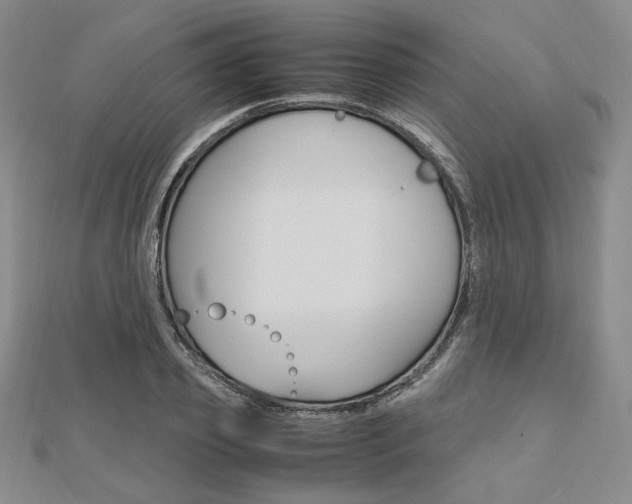 X0000112010933200908031018
