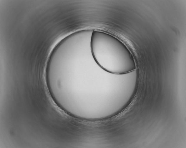 X0000112010936200908031018