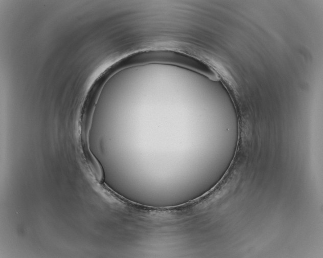 X0000112010944200908031018