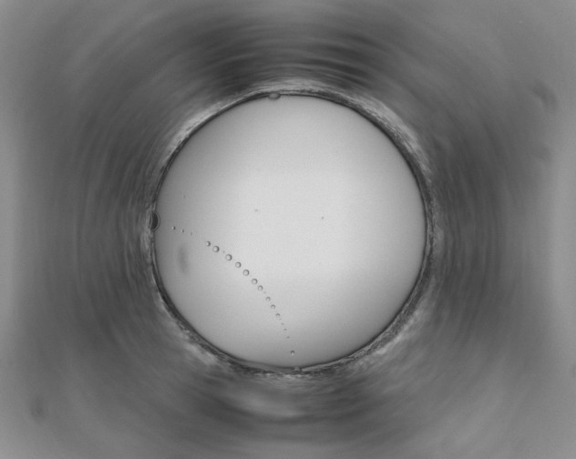 X0000112010945200908031018