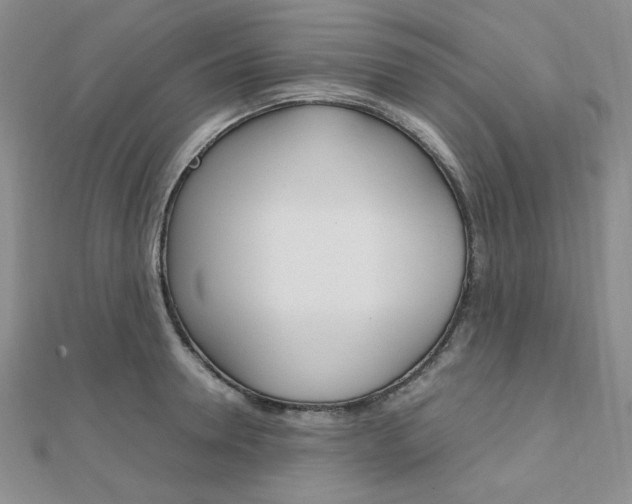 X0000112010946200908031018