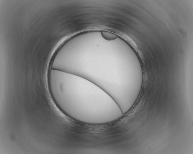 X0000112010947200908031019