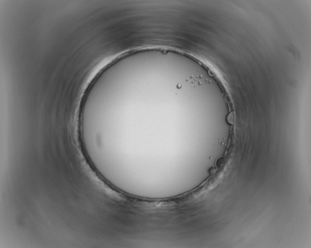 X0000112010949200908031019