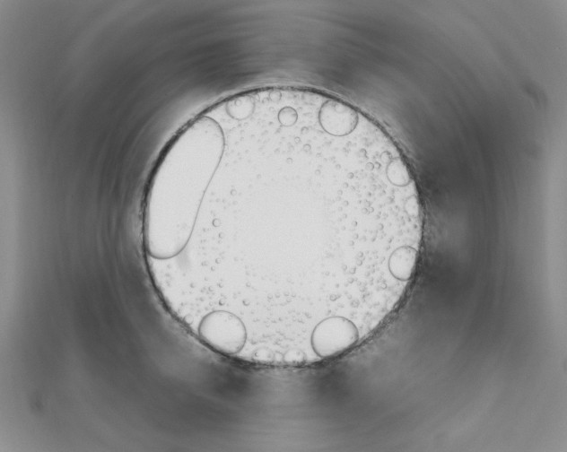 X0000112010950200908031019