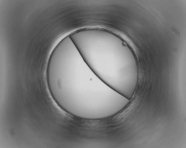 X0000112010951200908031019