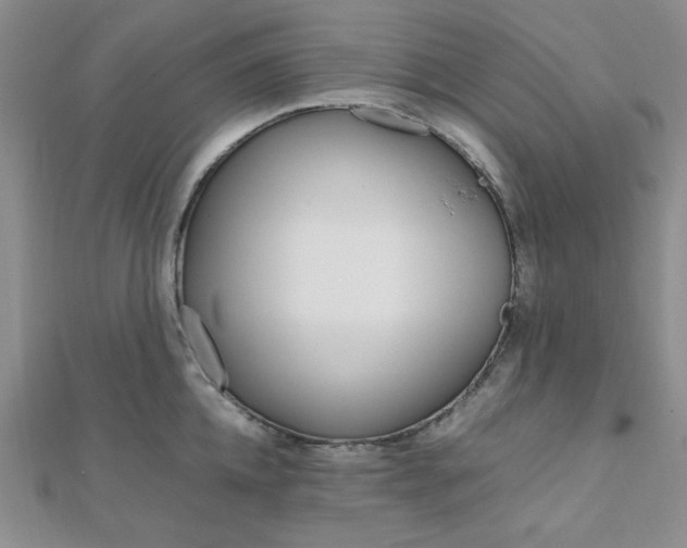 X0000112010952200908031019