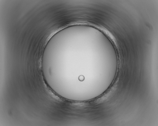X0000112010953200908031019