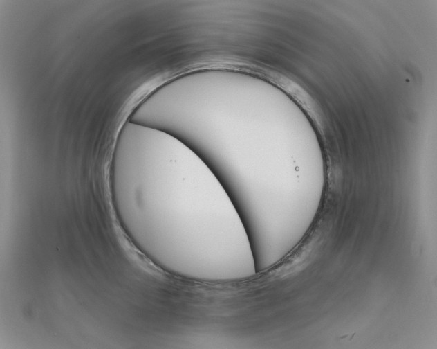 X0000112010954200908031019