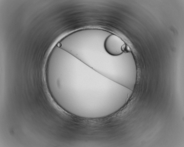 X0000112010955200908031019