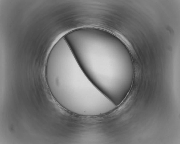 X0000112010956200908031019