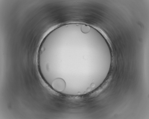 X0000112010957200908031019