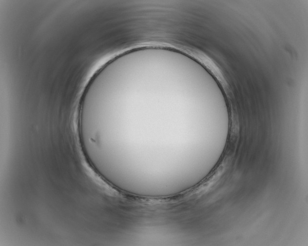 X0000112010958200908031019