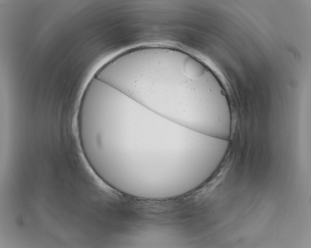 X0000112010959200908031019