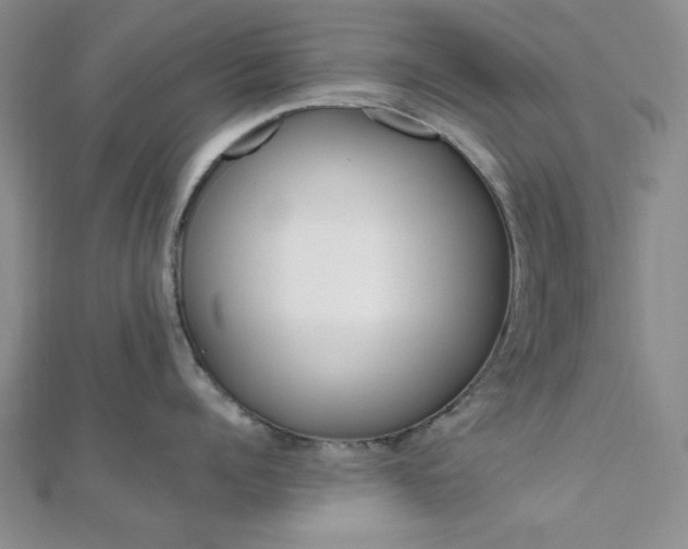 X0000112010960200908031019