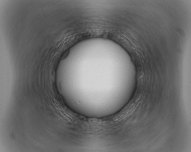 X0000112010961200908031018