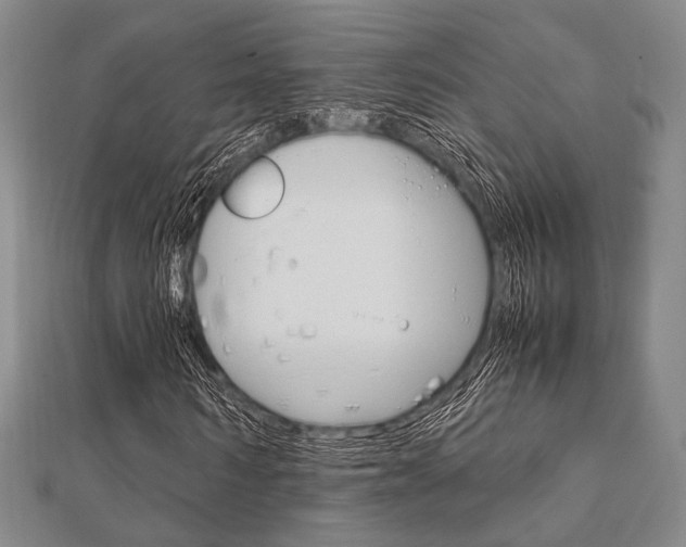 X0000112010962200908031018