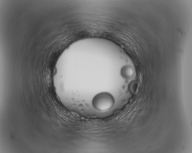 X0000112010963200908031018