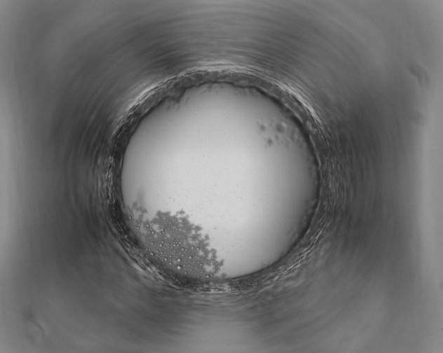 X0000112010968200908031018