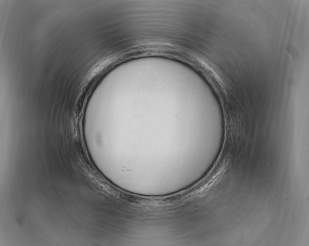 X0000112010970200908031018