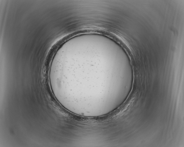 X0000112010971200908031018
