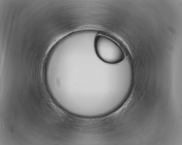 X0000112010973200908031018