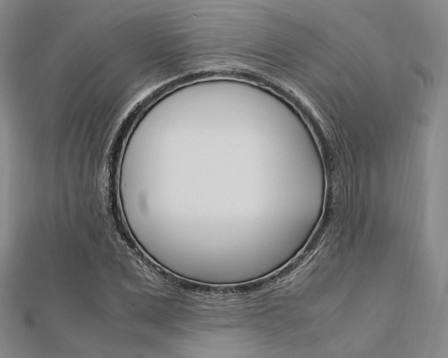 X0000112010975200908031018