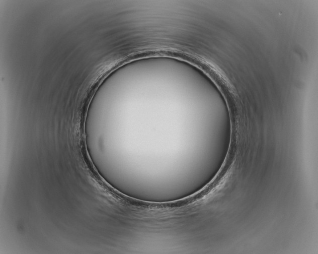 X0000112010977200908031018