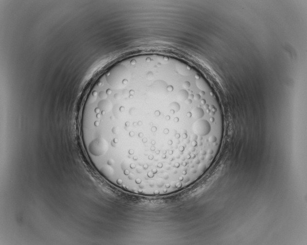 X0000112010978200908031018