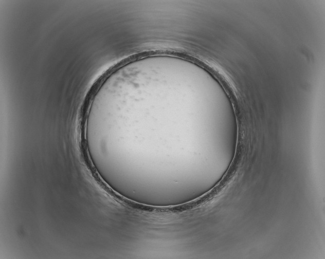 X0000112010983200908031018