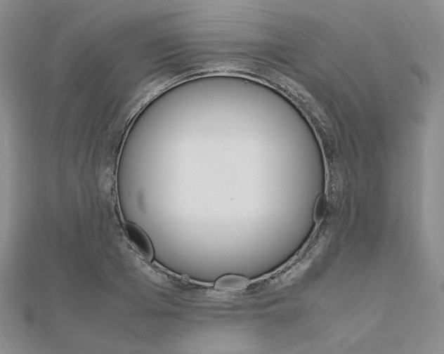 X0000112010985200908031018