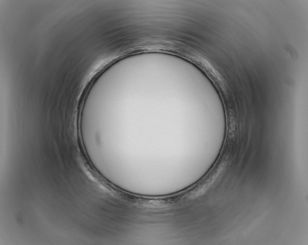 X0000112010986200908031018