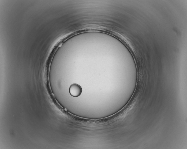 X0000112010987200908031018