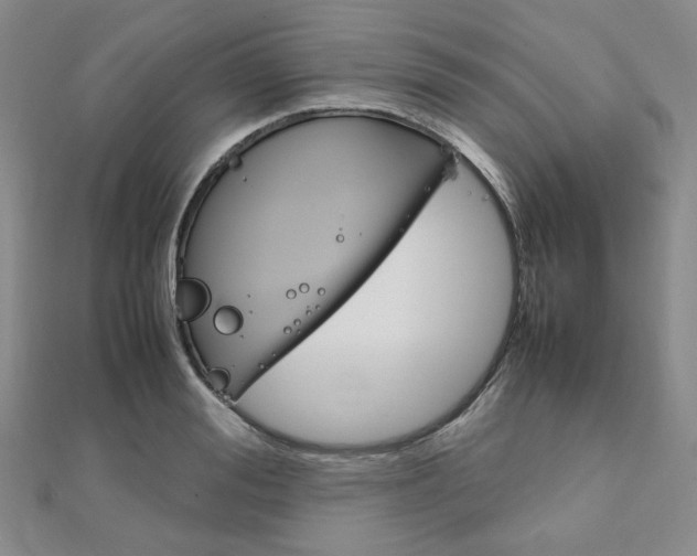 X0000112010988200908031018