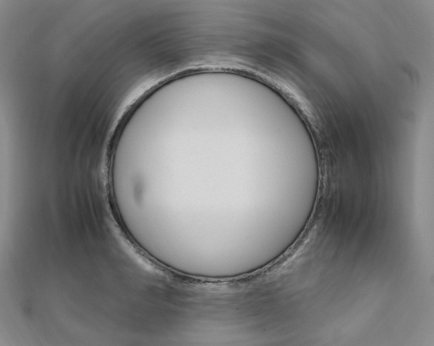 X0000112010990200908031018