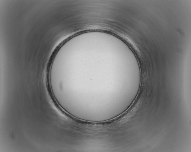 X0000112010991200908031018