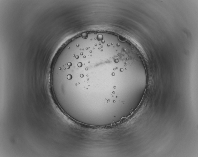 X0000112010992200908031017