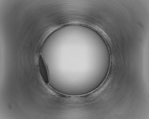 X0000112010993200908031017
