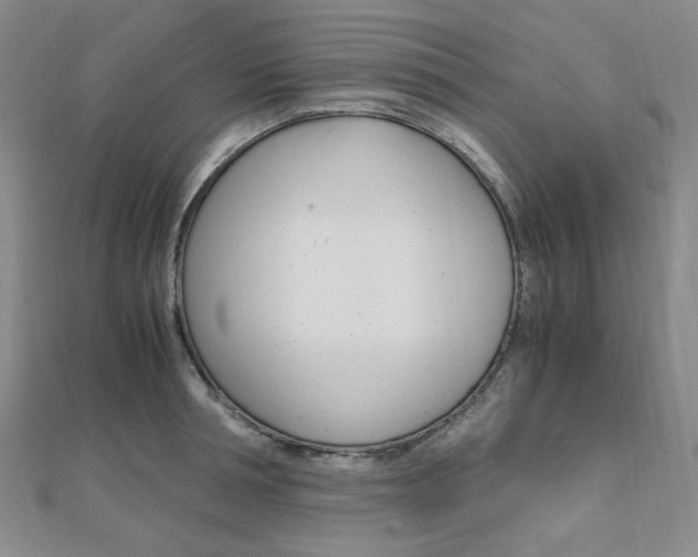 X0000112010994200908031017