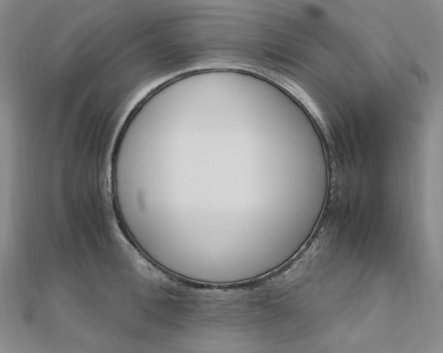 X0000112010996200908031017