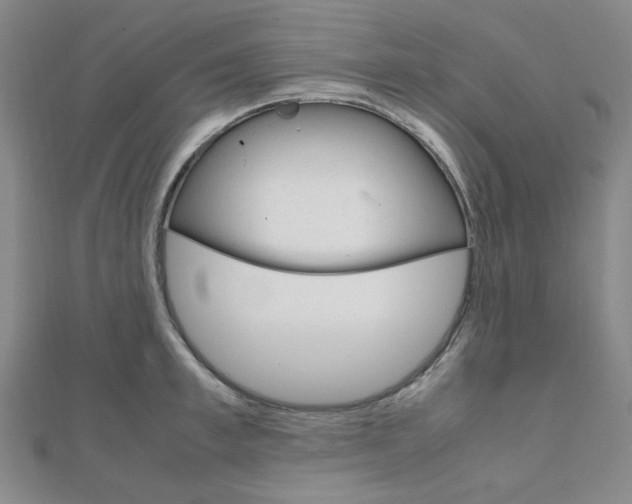X0000112010997200908031017