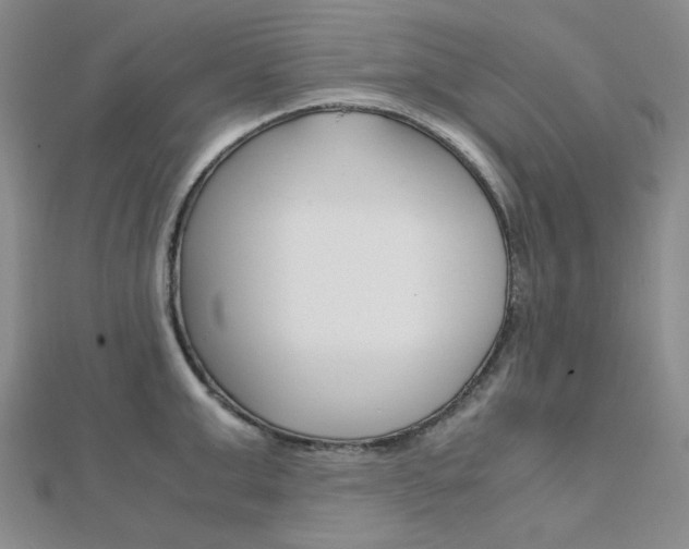 X0000112010999200908031017