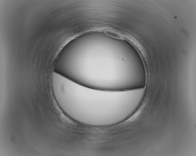 X0000112011001200908031017